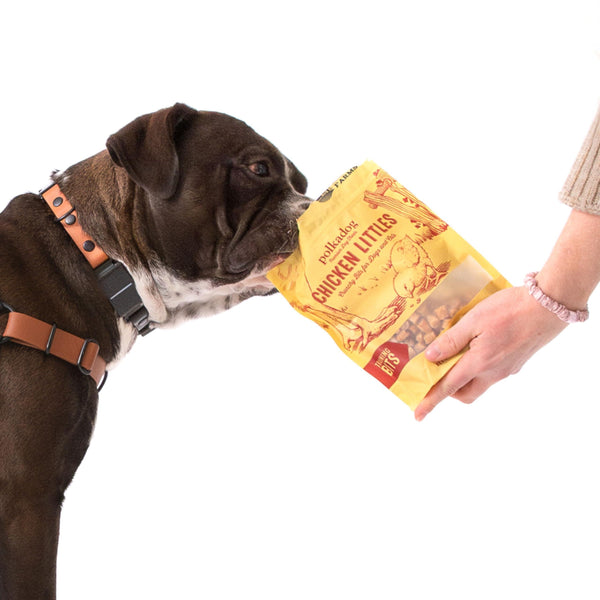 Polkadog Chicken Littles Training Bits Dog Treats