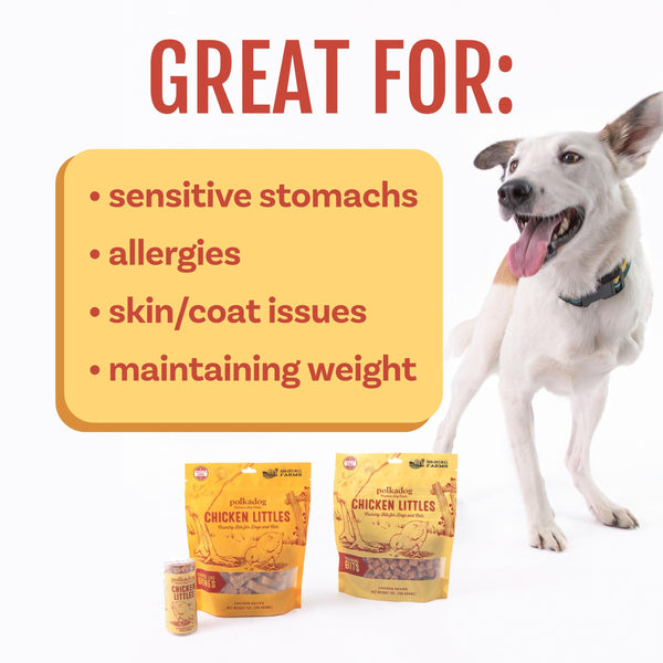 Polkadog Chicken Littles Training Bits Dog Treats