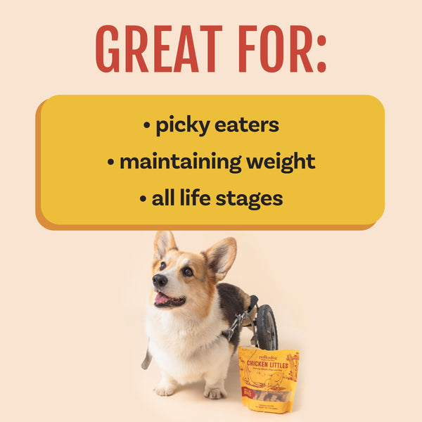 Polkadog Chicken Littles Bone Shaped Dog & Cat Treats