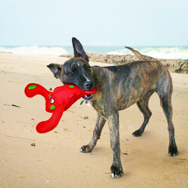 KONG Belly Flops Lobster Dog Toy, Red, Medium
