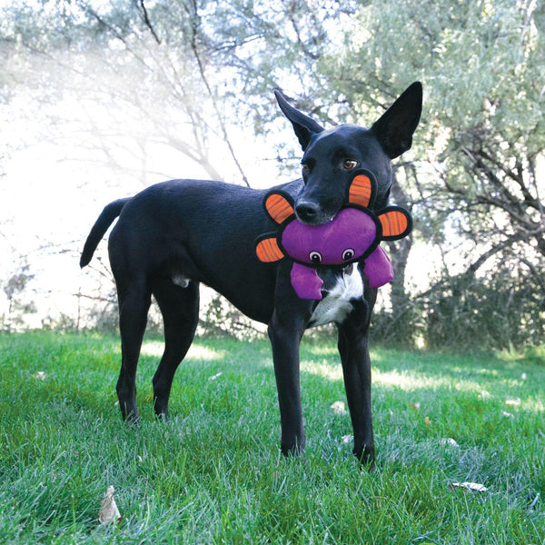 KONG Roughskinz Crab Dog Toy, Purple