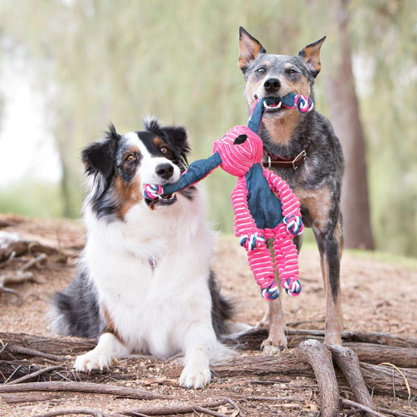 KONG Floppy Knots Bunny Dog Toy, Pink