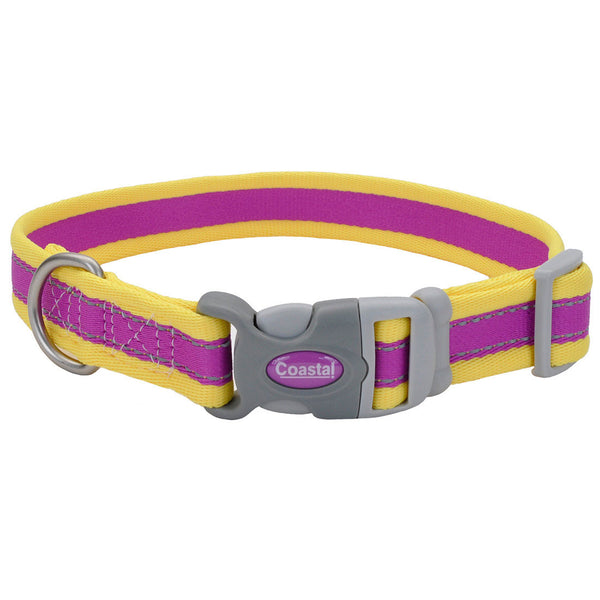 Coastal Pro Reflective Adjustable Dog Collar, Purple/Yellow