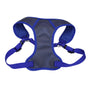 Coastal Harnais ajustable Soft Sport Wrap confortable pour chien, gris avec bleu