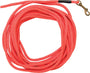 Laisse pour chien SportDOG Check Cord, orange, 30 ft