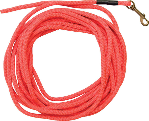 SportDOG Check Cord Dog Leash, Orange, 30-ft