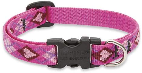 Lupine Pet Original Designs Adjustable Dog Collar, Puppy Love