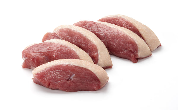 Plato Mini Thinkers Bâtonnet de viande de canard Friandises pour chiens