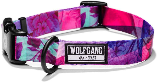 Wolfgang Dog Collar, Daydream
