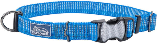 K9 Explorer Brights Reflective Adjustable Dog Collar, Lake