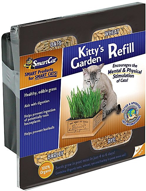 Pioneer Pet SmartCat Kit de recharge de graines Kitty's Garden