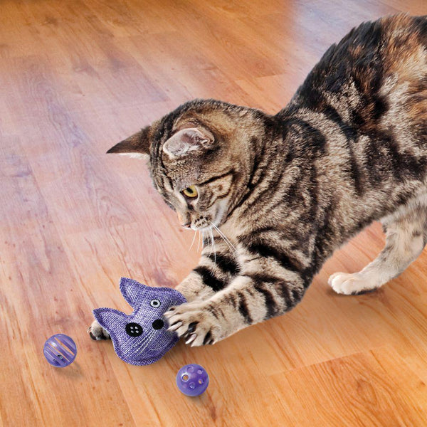 KONG Active Trio Cat Toy, Assorted