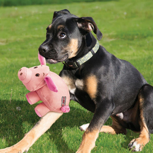 KONG Phatz Pig Dog Toy