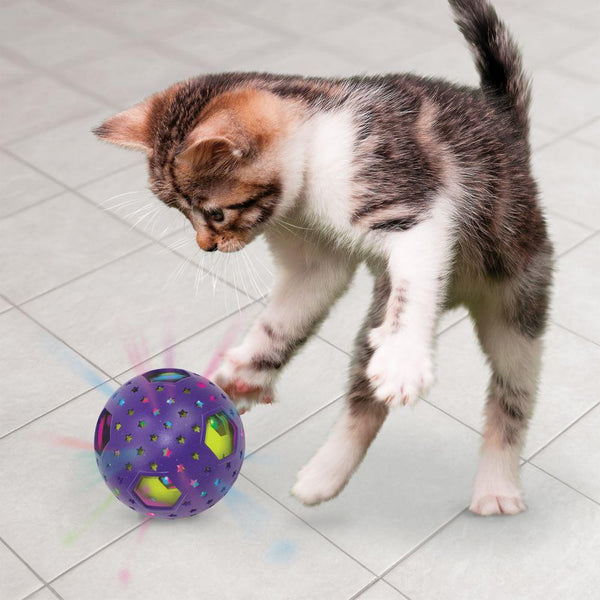 KONG Bat-A-Bout Flicker Disco Cat Toy, Purple