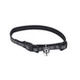 Lazer Brite Collier ajustable réfléchissant pour chat Ï dégagement rapide, 'Skulls & Cross Bones'.