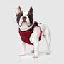 Canada Pooch The Everything Mesh Harnais pour chien, rouge,