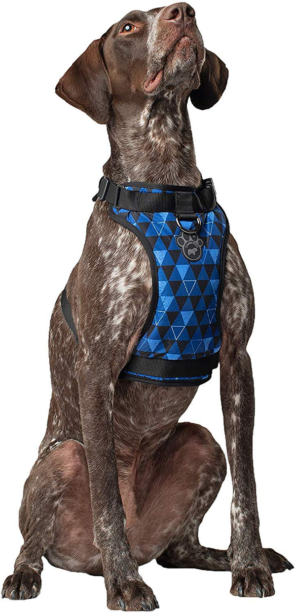 Canada Pooch The Everything Water-Resistant Dog Harness, Geo