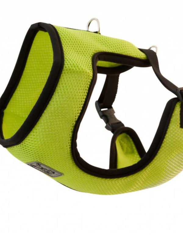 RC Pets Cirque Lime Dog Harness