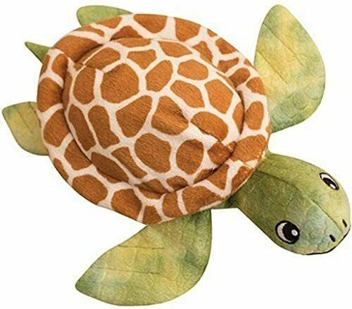 Snugarooz Sheldon the Turtle Dog Toy, 10-in