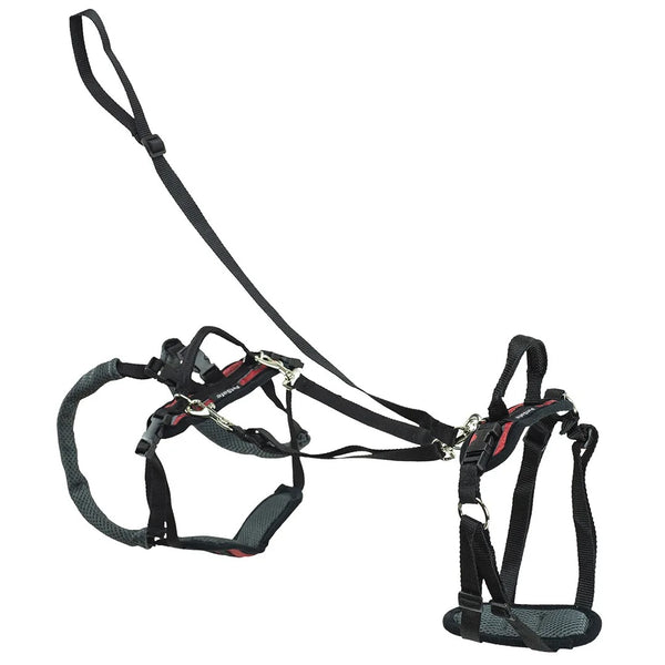 PetSafe CareLift Full Front & Back Lifting Aid Mobility Dog Harness