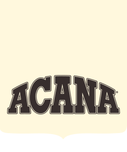 Arcana logo