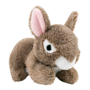 Tall Tails Bunny Squeaker Dog Toy