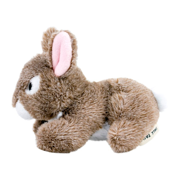 Tall Tails Bunny Squeaker Dog Toy