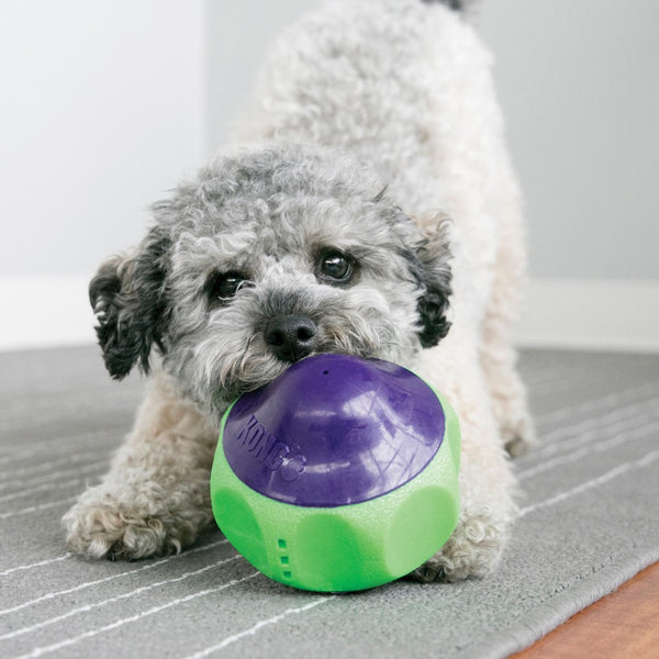 KONG Babbler Dog Toy, Green