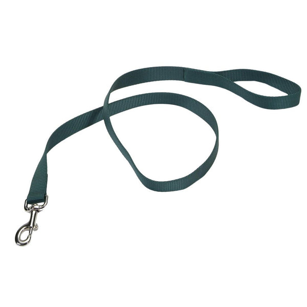 Coastal Laisse en nylon pour chien, vert chasseur, 1 po x 6 pi