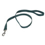 Coastal Laisse en nylon pour chien, vert chasseur, 1 po x 6 pi