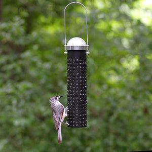 Perky-Pet Metal Sunflower Seed & Peanut Wild Bird Feeder, 10-in