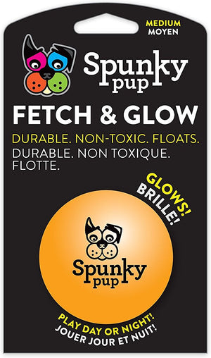 Spunky Pup Fetch & Glow Ball Dog Toy