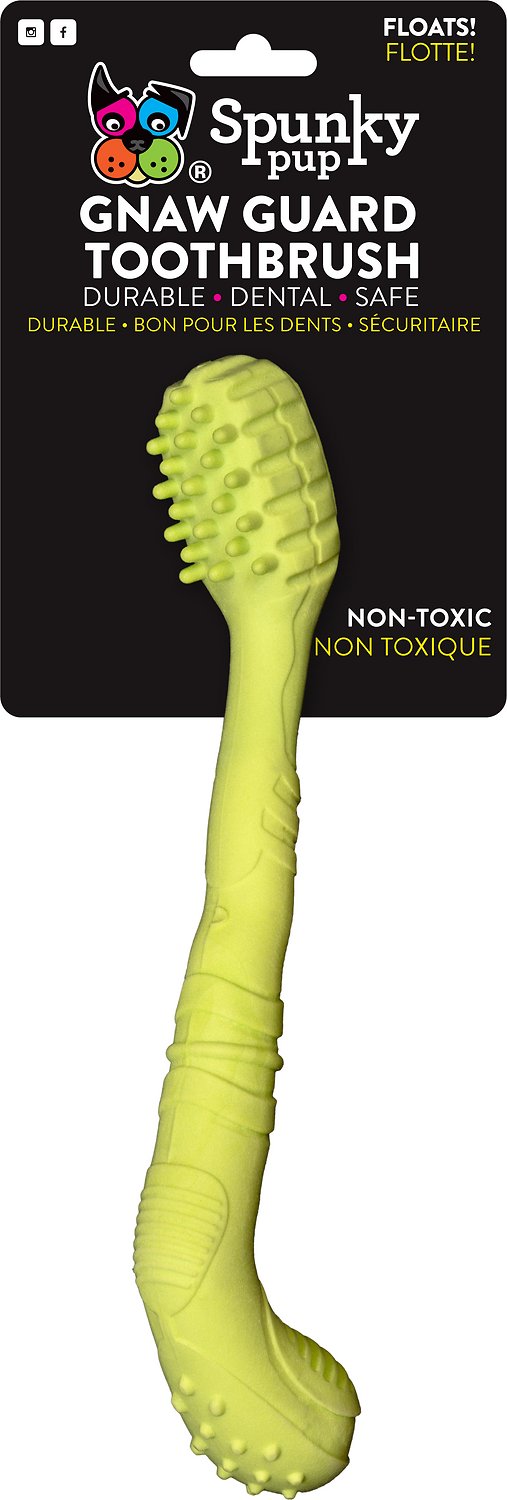 Spunky Pup Gnaw Guard Toothbrush Dog Toy