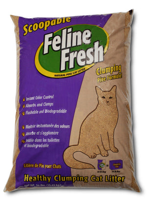 Feline Fresh Litière agglomérante pour chat en pin