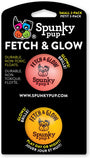 Spunky Pup Fetch & Glow Ball Dog Toy