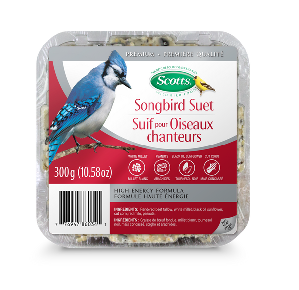Scotts Suif pour oiseaux chanteurs, 300-g