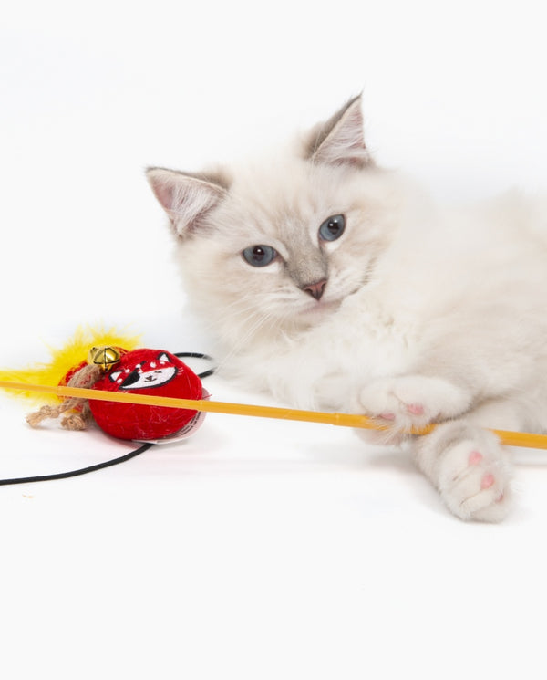 Catit Play Pirates Gold Pouch Catnip Wand Cat Toy