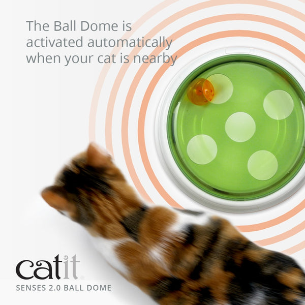 Catit Senses 2.0 Jouet coupole à balle pour chat