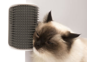 Catit Senses 2.0 Auto-brosseur avec herbe Ï  chat