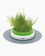 Catit Senses 2.0 Cat Grass Planter