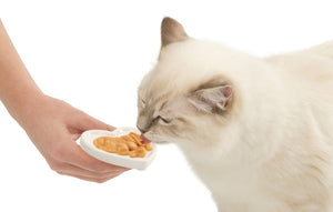 Catit 2.0 Creamy Heart Ceramic Dish