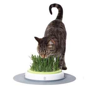 Catit Design Senses Grass Garden Kit