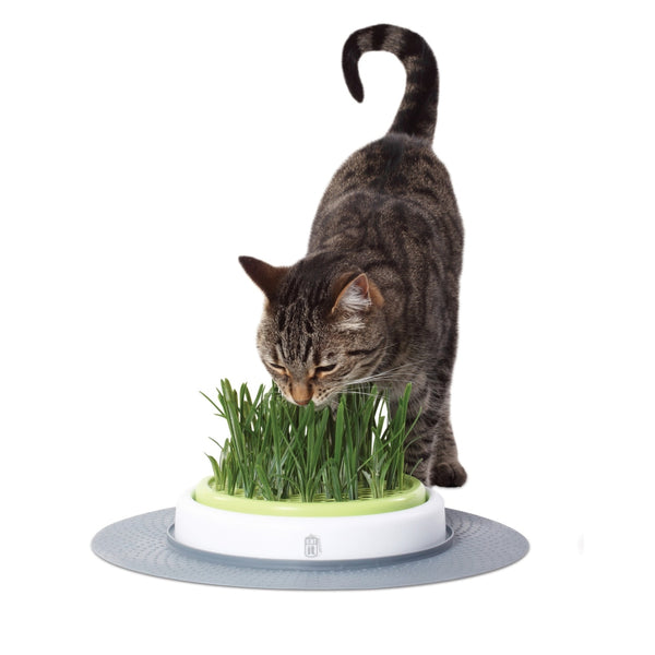 Catit Design Senses Grass Garden Kit