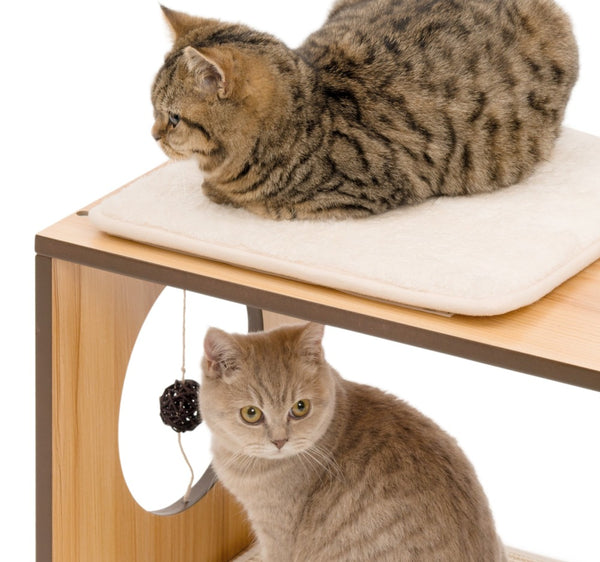Catit Vesper Stool Cat Tree, Walnut