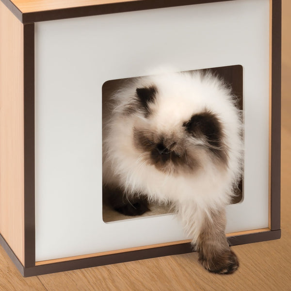 Catit Vesper Box Petit arbre Ï  chat, Noyer