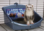 Marshall Lock-On Small Animal Litter Pan