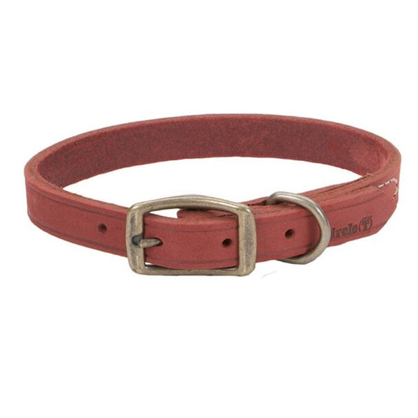 Circle T Rustic Leather Town Dog Collar, Brick Red
