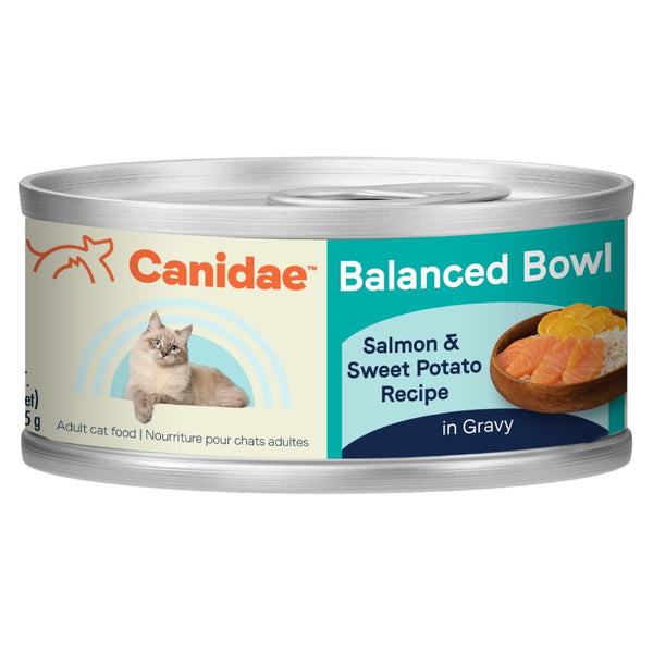 Canidae Balanced Bowl Salmon & Sweet Potato Wet Cat Food