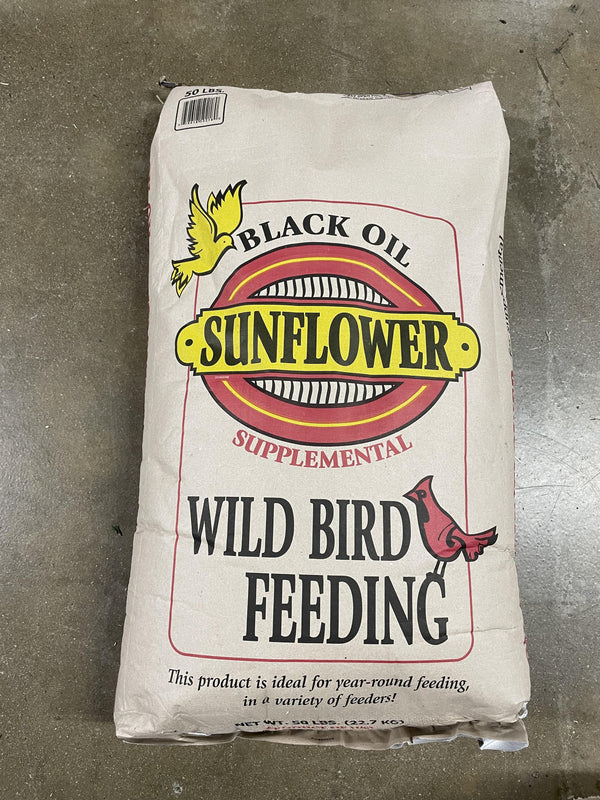 Sunbird Graines de tournesol noires Nourriture pour oiseaux sauvages.