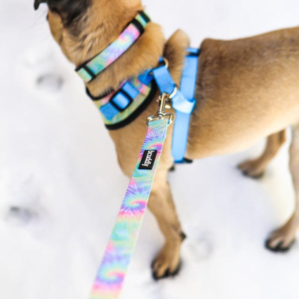 Bcuddly Dog Leash, Tie-Dye